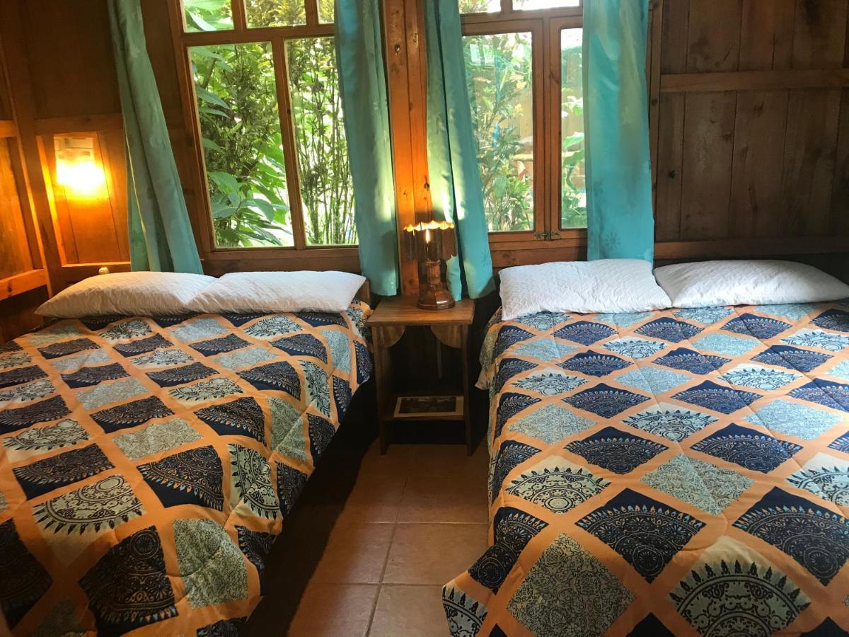 Hosteria Los Cedros De Mindo Ngoại thất bức ảnh