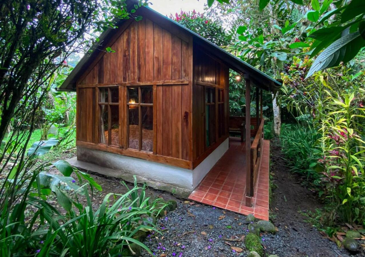 Hosteria Los Cedros De Mindo Ngoại thất bức ảnh
