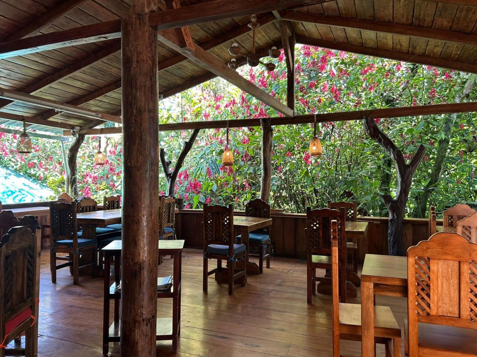 Hosteria Los Cedros De Mindo Ngoại thất bức ảnh