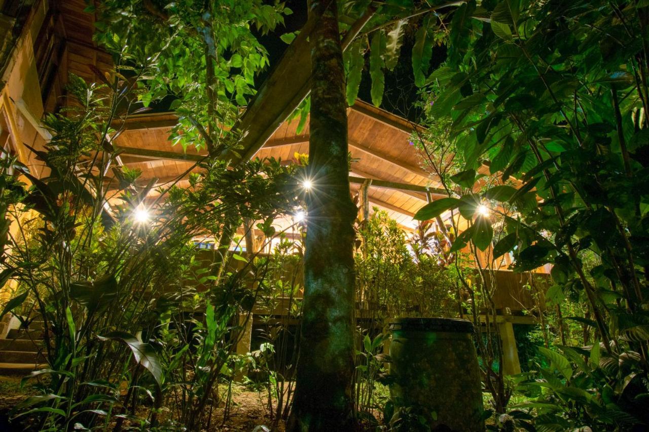 Hosteria Los Cedros De Mindo Ngoại thất bức ảnh