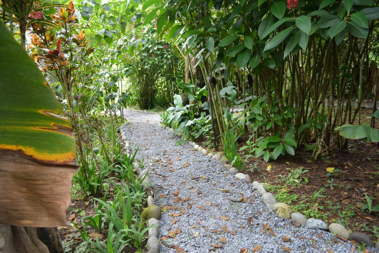 Hosteria Los Cedros De Mindo Ngoại thất bức ảnh